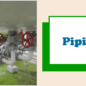 Piping