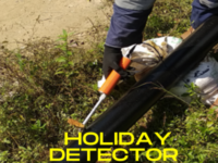 Holiday detector