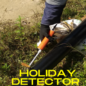 Holiday detector