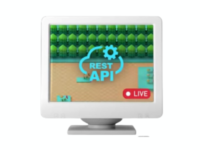 application programming interface