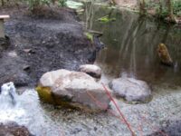 Aquifer
